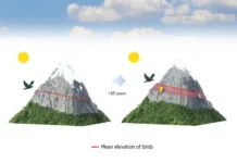 Птицы Европы успешно осваивают горные массивы на фоне потепления климата pticzy evropy uspeshno osvaivayut gornye massivy na fone potepleniya klimata-infovzor-ru-0