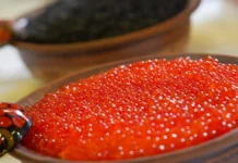 Регина Гурина и Елена Соломатина объяснили, как выбрать качественную красную икру regina gurina i elena solomatina obyasnili kak vybrat kachestvennuyu krasnuyu ikru-infovzor-ru-0