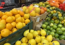 Россельхознадзор Челябинской области и дальнобойщики Казахстана успешно сотрудничают на границе rosselhoznadzor chelyabinskoj oblasti i dalnobojshhiki kazahstana uspeshno sotrudnichayut na granicze-infovzor-ru-0