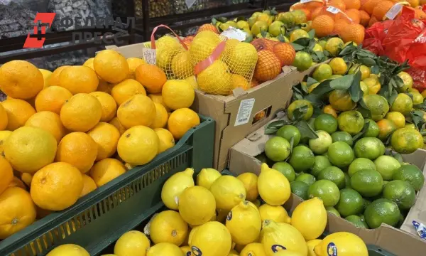 Россельхознадзор Челябинской области и дальнобойщики Казахстана успешно сотрудничают на границе-0