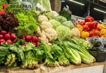 Рязанская область усиливает контроль и выдает свыше 2 тысяч штрафов за нелегальную торговлю ryazanskaya oblast usilivaet kontrol i vydaet svyshe 2 tysyach shtrafov za nelegalnuyu torgovlyu-infovzor-ru-0