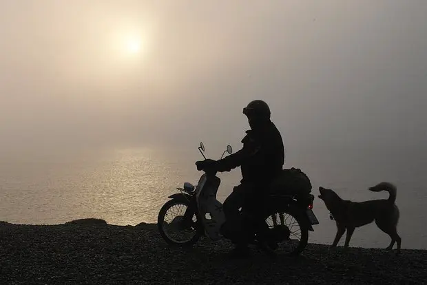 Вводная картинка