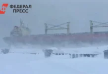 spasenie ekipazha   2 koordiniruyut valerij limarenko i aleksej rimsha-infovzor-ru-0