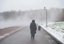 Светлана Бессараб и Сергей Гаврилов обсудили важные социальные вопросы svetlana bessarab i sergej gavrilov obsudili vazhnye soczialnye voprosy-infovzor-ru-0