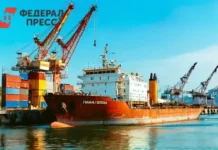 Транзит казахстанского зерна через Россию вырос втрое к ноябрю 2025 tranzit kazahstanskogo zerna cherez rossiyu vyros vtroe k noyabryu 2025-infovzor-ru-0