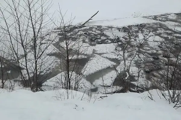 Вводная картинка