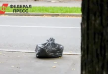 В Калининградской области внедряется новая система вывоза отходов v kaliningradskoj oblasti vnedryaetsya novaya sistema vyvoza othodov-infovzor-ru-0