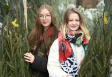 В Москве открываются новогодние елочные базары с ароматными соснами и елями v moskve otkryvayutsya novogodnie elochnye bazary s aromatnymi sosnami i elyami-infovzor-ru-0