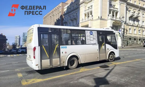 Владивостокские транспортные компании представили новые тарифы на проезд-0