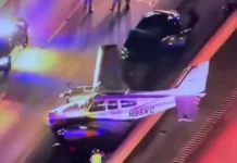 Во Флориде самолет совершил аварийную посадку и попал в необычное происшествие vo floride samolet sovershil avarijnuyu posadku i popal v neobychnoe proisshestvie-infovzor-ru-0