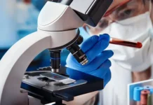 Врач Болибок рассказал о позитивных шагах профилактики мышиной лихорадки в России vrach bolibok rasskazal o pozitivnyh shagah profilaktiki myshinoj lihoradki v rossii-infovzor-ru-0