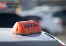 Женщина-водитель такси из Омска спаслась от нападения подростка, суд огласил приговор zhenshhinavoditel taksi iz omska spaslas ot napadeniya podrostka sud oglasil prigovor-infovzor-ru-0