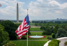 Анна Паулина Луна приглашает Кирилла Дмитриева на саммит anna paulina luna priglashaet kirilla dmitrieva na sammit-infovzor-ru-0