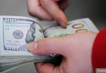 АТОР предлагает Банку России повысить валютный лимит для туристов ator predlagaet banku rossii povysit valyutnyj limit dlya turistov-infovzor-ru-0