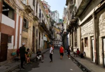 Дональд Трамп и Малек Дудаков о перспективах для Кубы и Гренландии donald tramp i malek dudakov o perspektivah dlya kuby i grenlandii-infovzor-ru-0