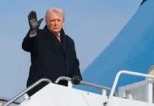 Дональд Трамп предлагает переговоры о Гренландии США и Дании donald tramp predlagaet peregovory o grenlandii ssha i danii-infovzor-ru-0