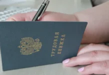 Екатерина Стенякина рассказала о трудовых книжках в 2026 году ekaterina stenyakina rasskazala o trudovyh knizhkah v 2026 godu-infovzor-ru-0