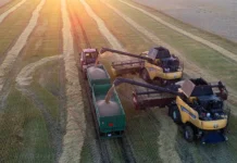 Экспорт пшеницы из РФ в Китай: снижение, перспективы и возможности eksport psheniczy iz rf v kitaj snizhenie perspektivy i vozmozhnosti-infovzor-ru-0