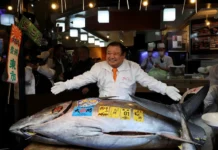 Голубой тунец ушел за 3,2 млн на аукционе в Токио - купил Киёси Кимура goluboj tunecz ushel za 32 mln na aukczione v tokio kupil kiyosi kimura-infovzor-ru-0