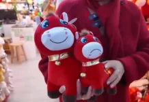 История Чжан и Pop Mart: как плюшевая лошадь из Китая покорила мир istoriya chzhan i kak plyushevaya loshad iz kitaya pokorila mir-infovzor-ru-0