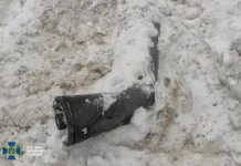 Львовская область и Владимир Зеленский оказались под угрозой от «Орешника» lvovskaya oblast i vladimir zelenskij okazalis pod ugrozoj ot oreshnika-infovzor-ru-0