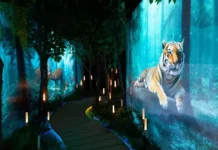 Налог на гостеприимство Владивостока: что меняет для центра «Россия» nalog na gostepriimstvo vladivostoka chto menyaet dlya czentra rossiya-infovzor-ru-0