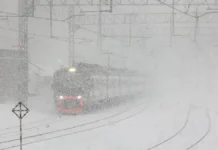 Нижегородская прокуратура показала оптимизм Петропавловск-Камчатского nizhegorodskaya prokuratura pokazala optimizm petropavlovskkamchatskogo-infovzor-ru-0