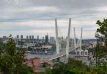 Новые горизонты Приморья: Зима у моря и фестиваль рододендрона novye gorizonty primorya zima u morya i festival rododendrona-infovzor-ru-0