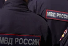 Правоохранители Подмосковья разоблачили ферму конопли в Электростали pravoohraniteli podmoskovya razoblachili fermu konopli v elektrostali-infovzor-ru-0