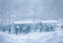 Приморский край готовится к новым снежным узорам от Примгидромета primorskij kraj gotovitsya k novym snezhnym uzoram ot primgidrometa-infovzor-ru-0