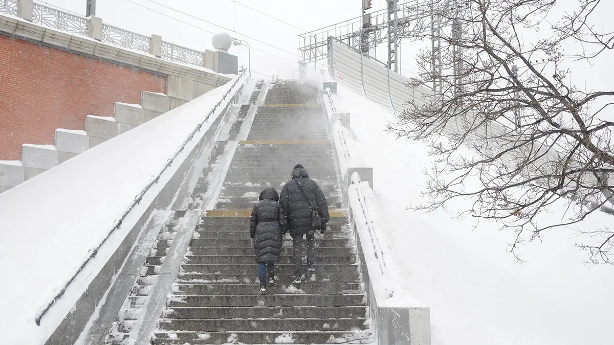 Москвичам посоветовали пересесть на городской транспорт 8 января