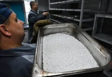 Том Ли видит рост золота и серебра на фоне ослабления доллара tom li vidit rost zolota i serebra na fone oslableniya dollara-infovzor-ru-0