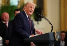 Укалек Астри Слеттемарк о планах Трампа в Гренландии и роль НАТО ukalek astri slettemark o planah trampa v grenlandii i rol nato-infovzor-ru-0