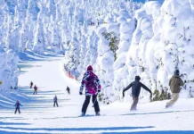 Уктус: 13-летний мальчик пострадал, ситуация разрешается uktus 13letnij malchik postradal situacziya razreshaetsya-infovzor-ru-0