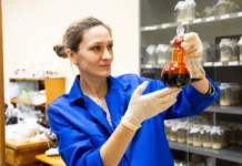 УрФУ и Ольга Антосюк развивают защиту ДНК при химиотерапии urfu i olga antosyuk razvivayut zashhitu dnk pri himioterapii-infovzor-ru-0