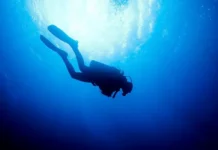 Водолаз спасен у Сахалина после суток в море–триумф МЧС России vodolaz spasen u sahalina posle sutok v moretriumf mchs rossii-infovzor-ru-0