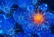 SLAMF6 открывает перспективы иммунотерапии и антител 6 otkryvaet perspektivy immunoterapii i antitel-infovzor-ru-0