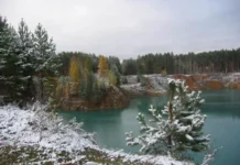 Денис Паслер и Денис Мамонтов о перспективах охраны водоемов denis pasler i denis mamontov o perspektivah ohrany vodoemov-infovzor-ru-0