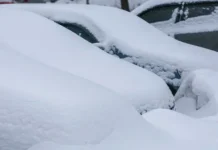 Москву ждет снежная зима – эксперты ЦУГМС и МГУ видят тренд moskvu zhdet snezhnaya zima eksperty czugms i mgu vidyat trend-infovzor-ru-0