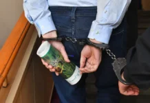 МВД России задержало курьера, спасшего пенсионерку от мошенников mvd rossii zaderzhalo kurera spasshego pensionerku ot moshennikov-infovzor-ru-0