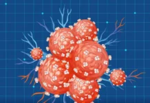 НИТУ «МИСиС» и РТУ «МИРЭА» создали бактериохлорин против рака nitu misis i rtu mirea sozdali bakteriohlorin protiv raka-infovzor-ru-0