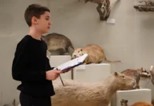 Олимпиады Департамента образования и вузов создают возможности olimpiady departamenta obrazovaniya i vuzov sozdayut vozmozhnosti-infovzor-ru-0