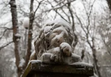 Приморье: 7 февраля ожидаются снег и морозы primore 7 fevralya ozhidayutsya sneg i morozy-infovzor-ru-0