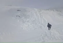 Савинова: защита детей в Свердловской области по поручению Паслера savinova zashhita detej v sverdlovskoj oblasti po porucheniyu paslera-infovzor-ru-0