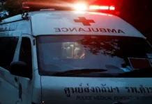 istoriya vadima li rossiyanin v tailande teplye vospominaniya druzej-infovzor-ru-0