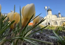 Московский планетарий отметит весеннее равноденствие встречей Солнца moskovskij planetarij otmetit vesennee ravnodenstvie vstrechej solncza-infovzor-ru-0