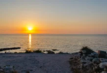 Развожаев сообщил о грандиозной атаке ВСУ на Севастополь и Майкоп razvozhaev soobshhil o grandioznoj atake vsu na sevastopol i majkop-infovzor-ru-0