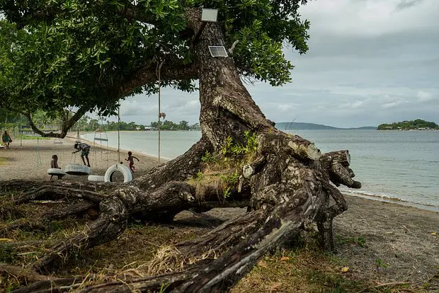 Вводная картинка