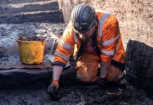 Уникальная древняя тропа найдена в Сомерсете археологами unikalnaya drevnyaya tropa najdena v somersete arheologami-infovzor-ru-0