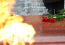 andrej kolesnik ob inicziative gosdumy spasti vechnyj ogon-infovzor-ru-0